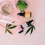 CBD: accessori, olio e prodotti cosmetici