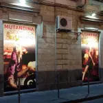 Il business dei sexy shop